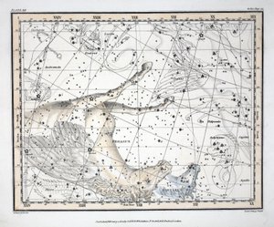The Constellations (Plate XII) Pegasus, and Equuleus, from 